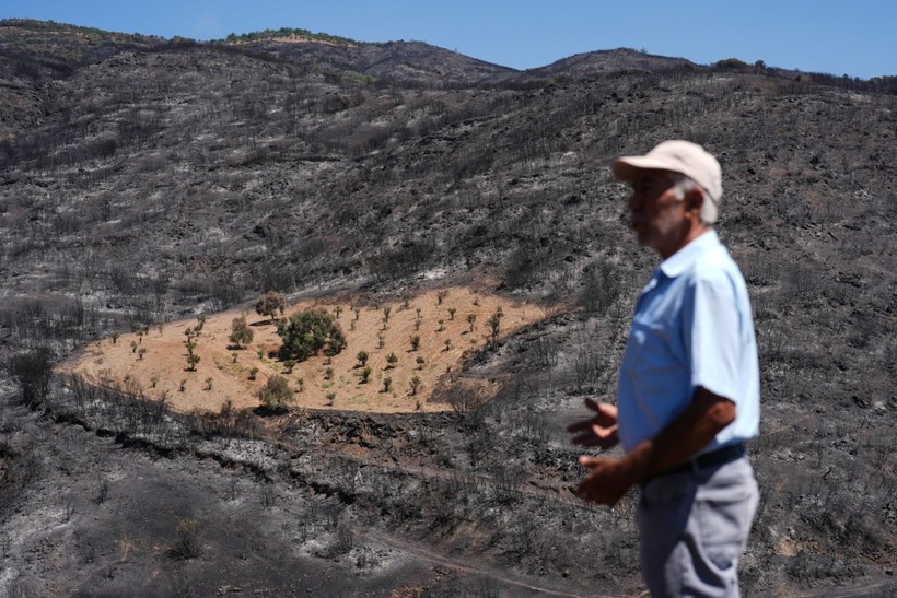 İzmir yangınında Çiftçi Ahmet mucizesi - Resim: 1