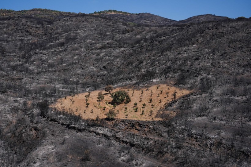 İzmir yangınında Çiftçi Ahmet mucizesi - Resim: 2