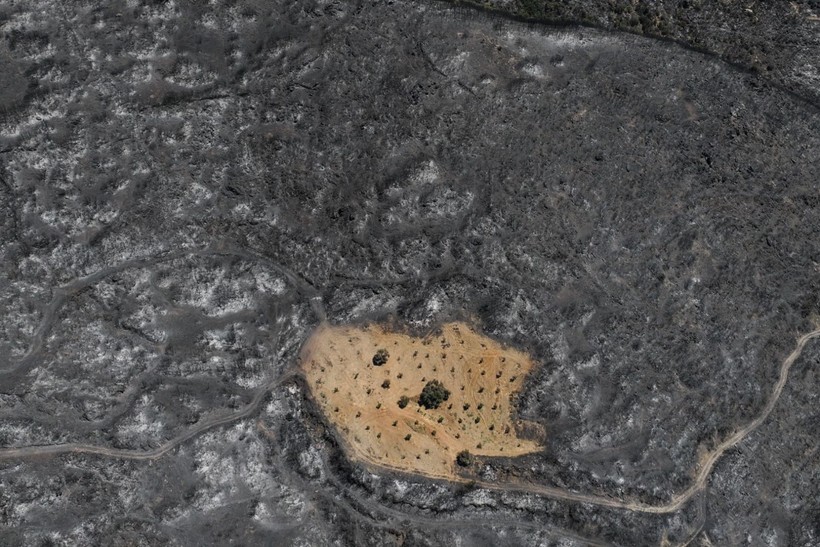 İzmir yangınında Çiftçi Ahmet mucizesi - Resim: 3