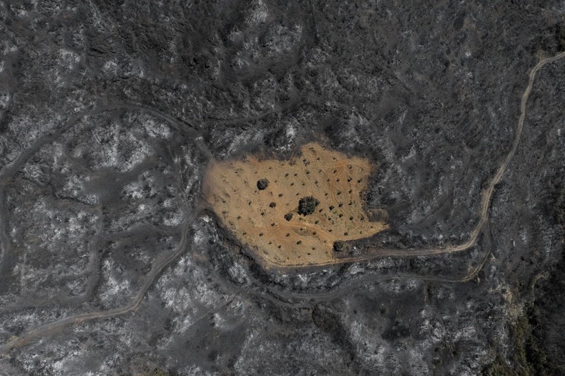 İzmir yangınında Çiftçi Ahmet mucizesi - Resim: 5