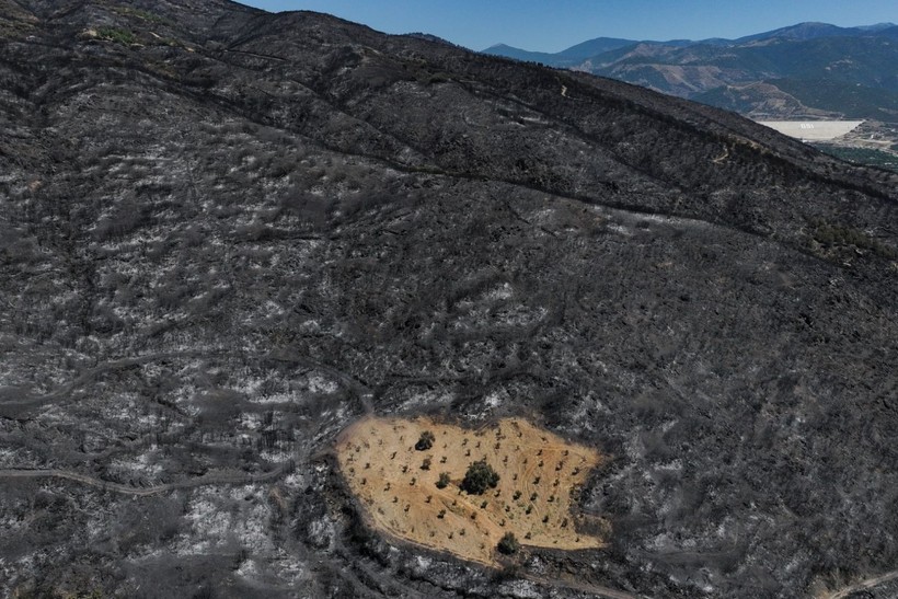 İzmir yangınında Çiftçi Ahmet mucizesi - Resim: 8