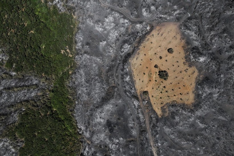 İzmir yangınında Çiftçi Ahmet mucizesi - Resim: 10