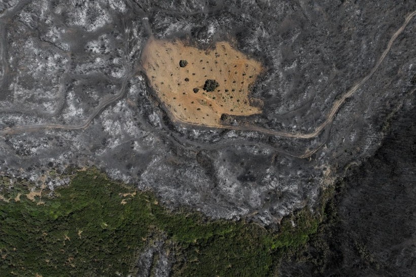 İzmir yangınında Çiftçi Ahmet mucizesi - Resim: 11